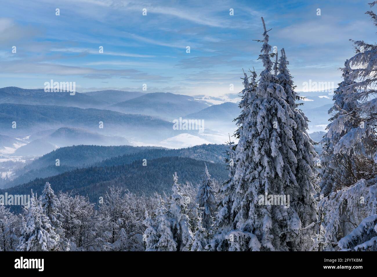 Beautiful winter landscape in the Carpathian Mountains with picturesque sky on a sunny day Stock Photo