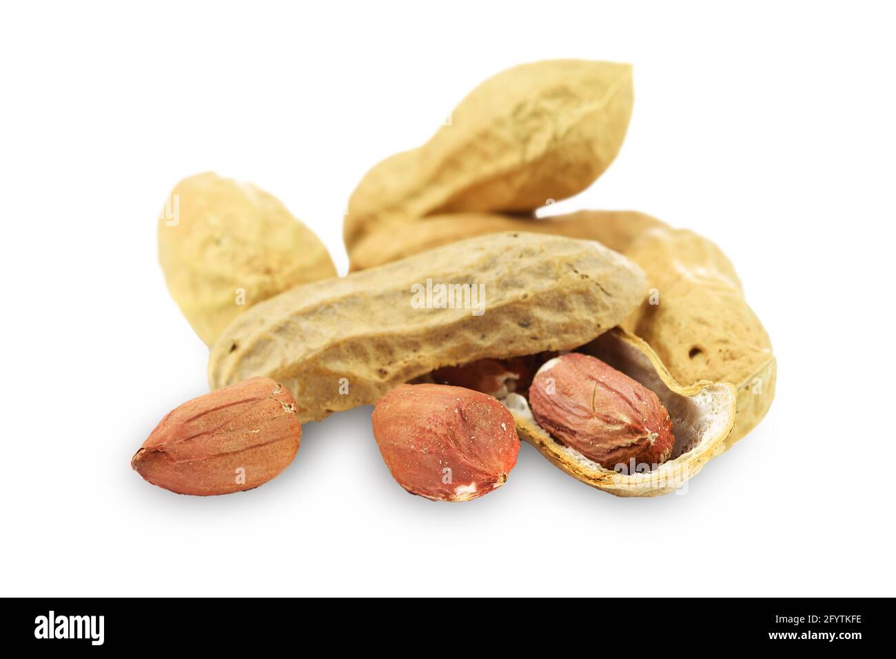 Dried peanuts isolated on the white background in close-up. PNG file with transparent background. Stock Photo