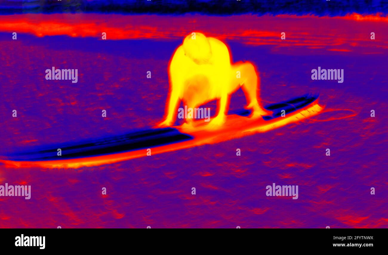 Recreation on the water. Surf lover. The descent of a surfboard on the