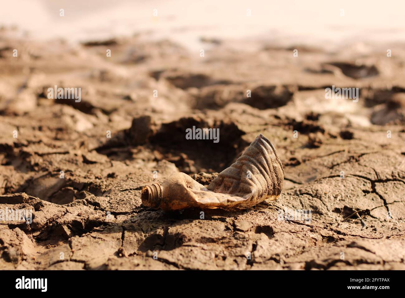 A thrown plastic bottle in pond undergraduate Stock Photo