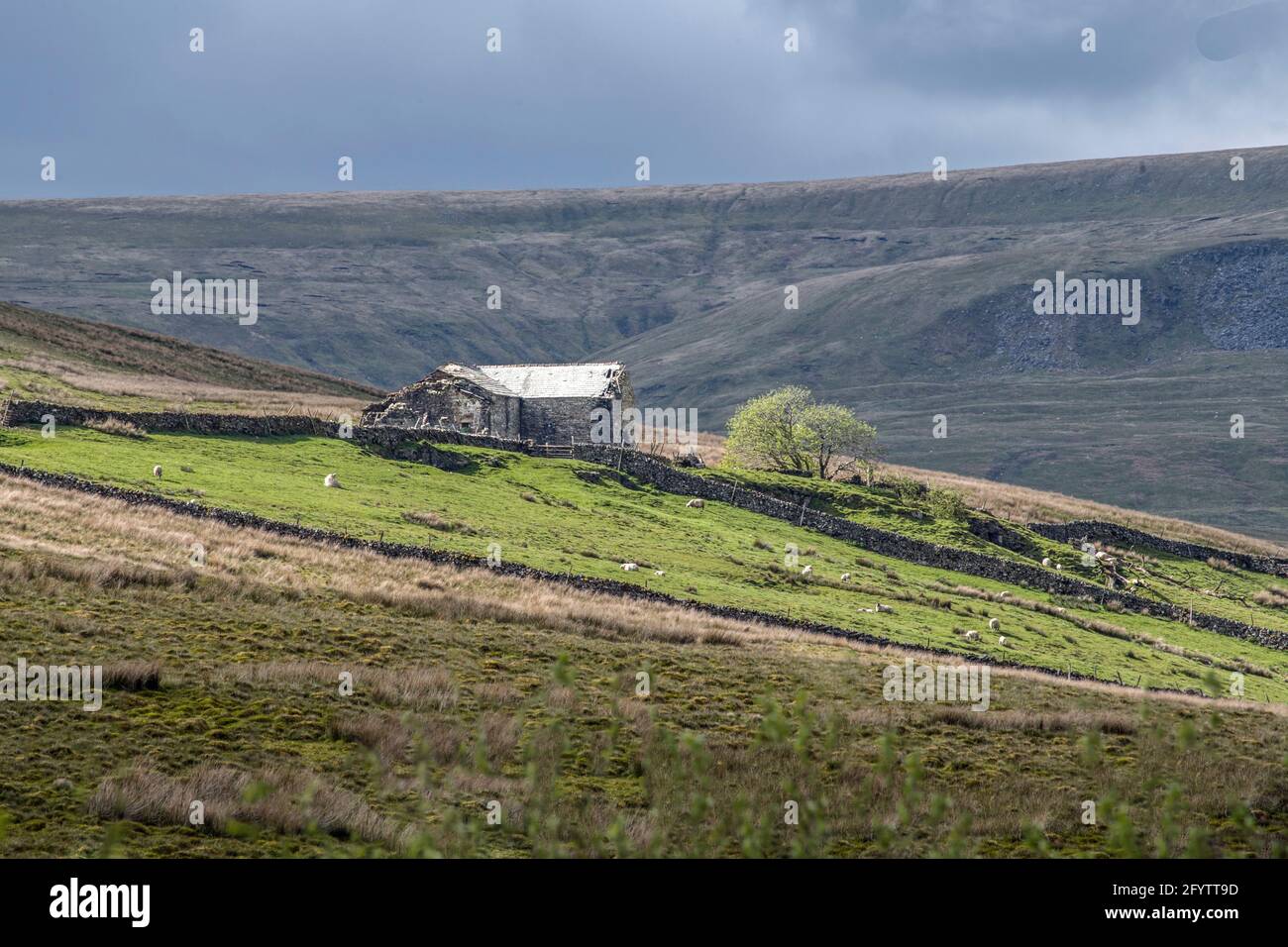 A derelict old Dales barn above Aisgill in the Yorkshire Dales with a patch of sun right on it. Stock Photo