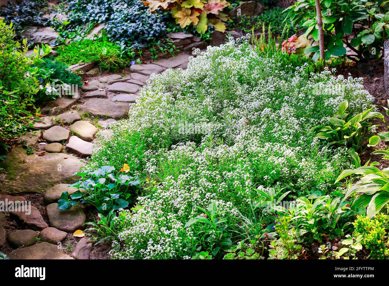 Beautiful garden in spring. Hobby time Stock Photo - Alamy