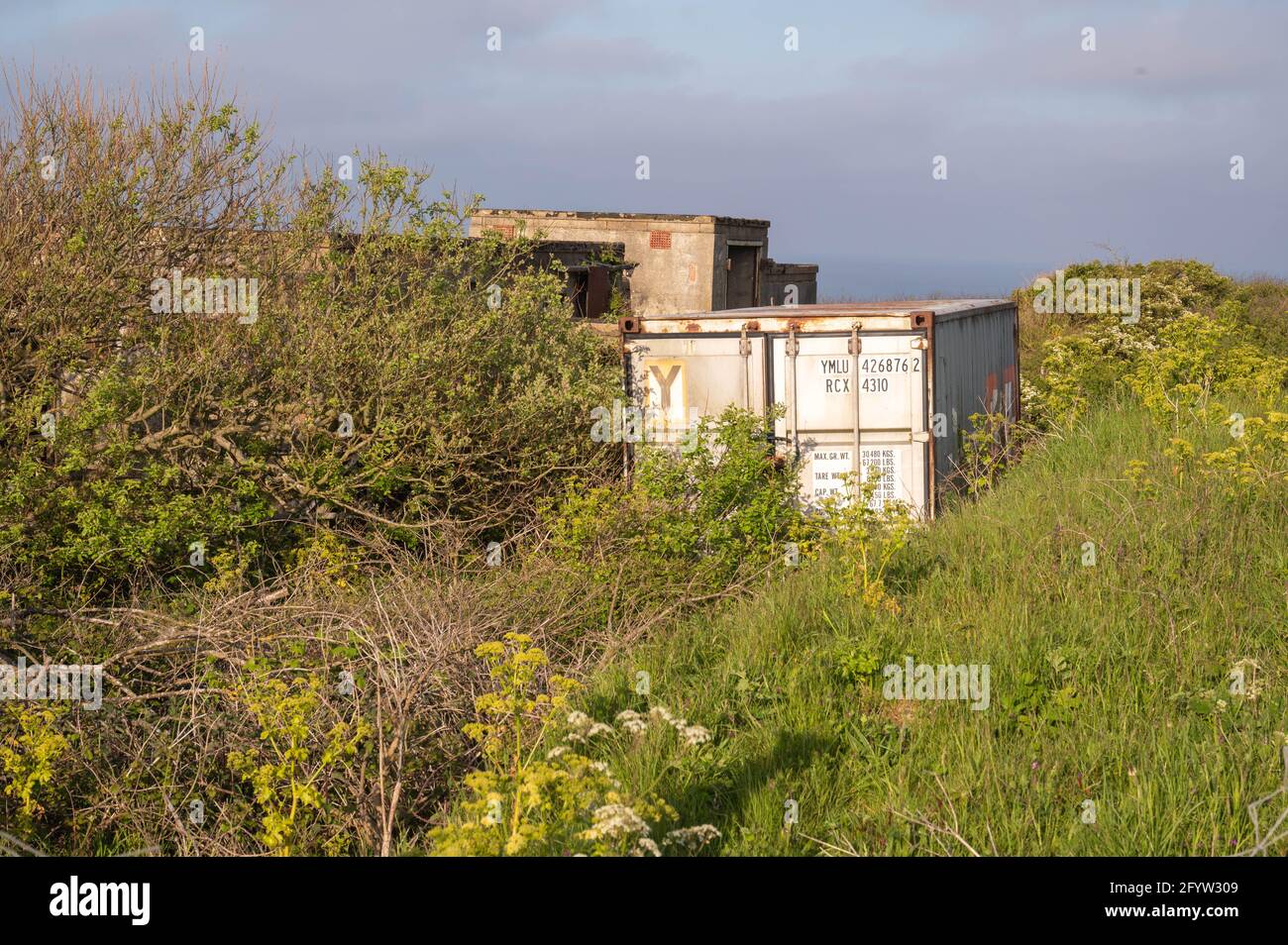 A lorry metal shipping  box container  sitting in an overgrown field next to a concrete  building Stock Photo