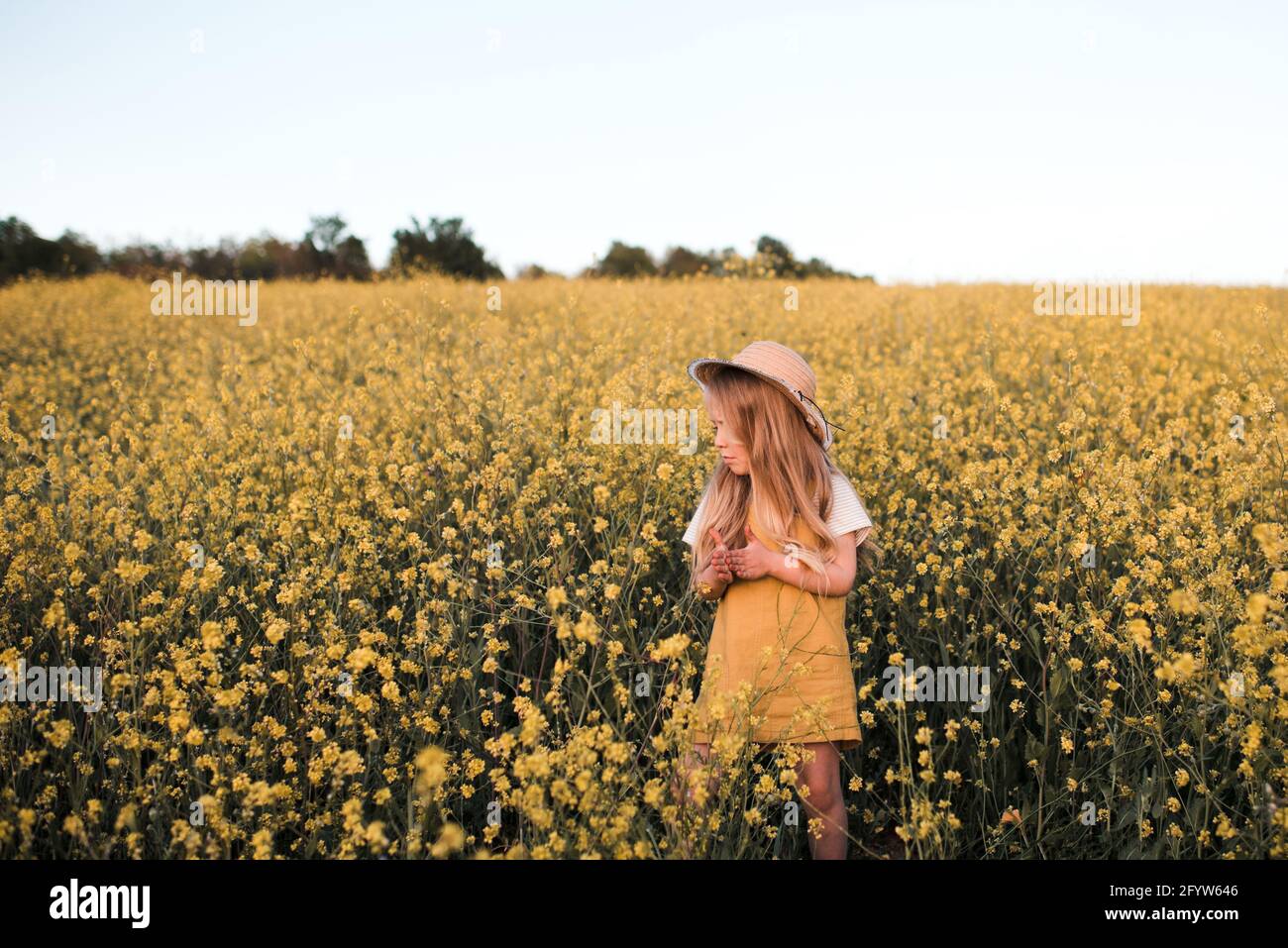 Stylish baby girl 4-5 year old wear yellow stylish dress and straw hat in flower bloom field over nature background close up. Summer vacation season. Stock Photo