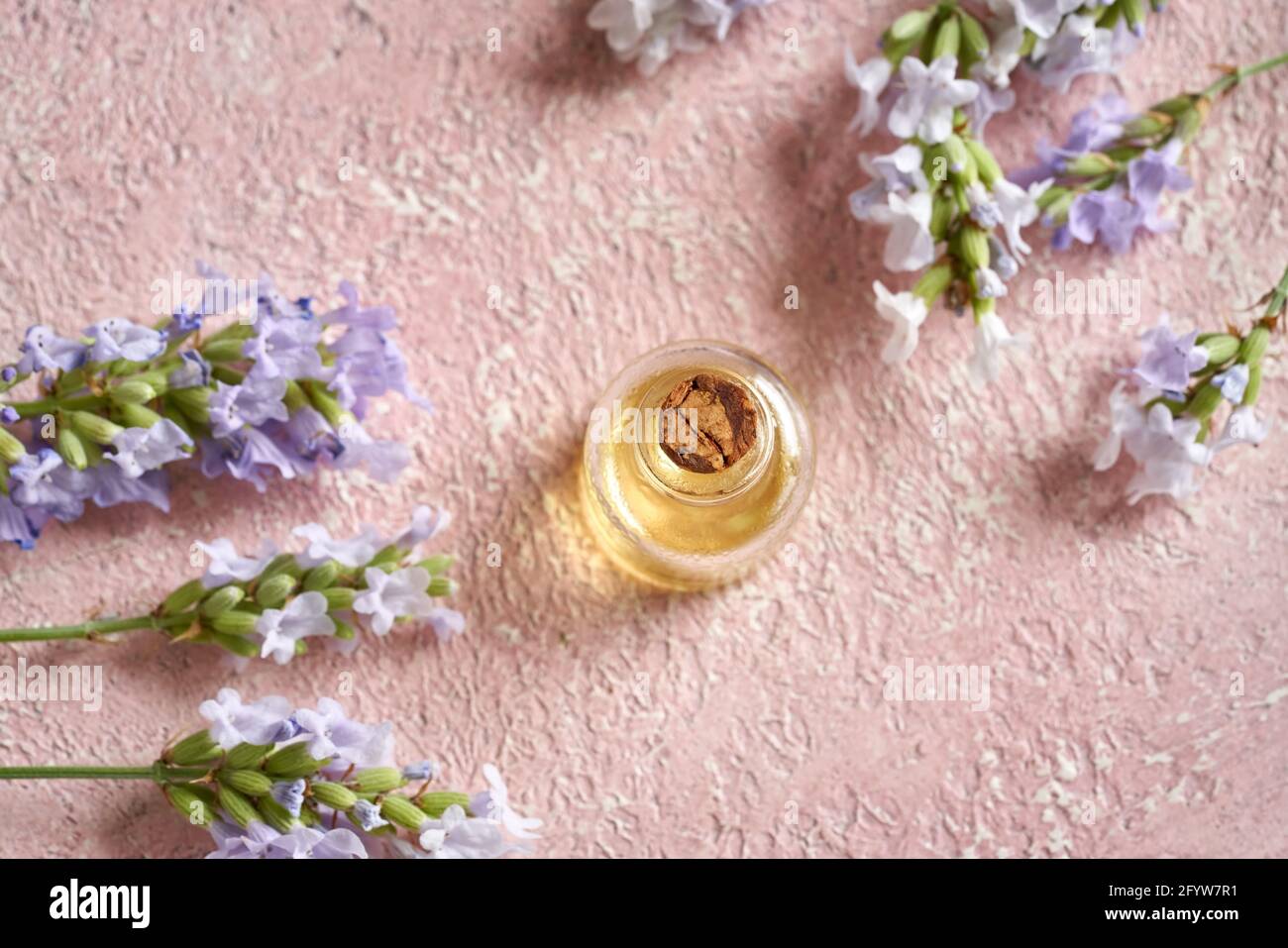 A bottle of essential oil with fresh blooming lavender twigs Stock ...