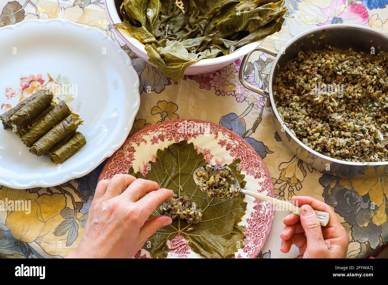 Woman hands, preparing traditional turkish and greek dish stuffed grape leaves, Food Concept. Stock Photo