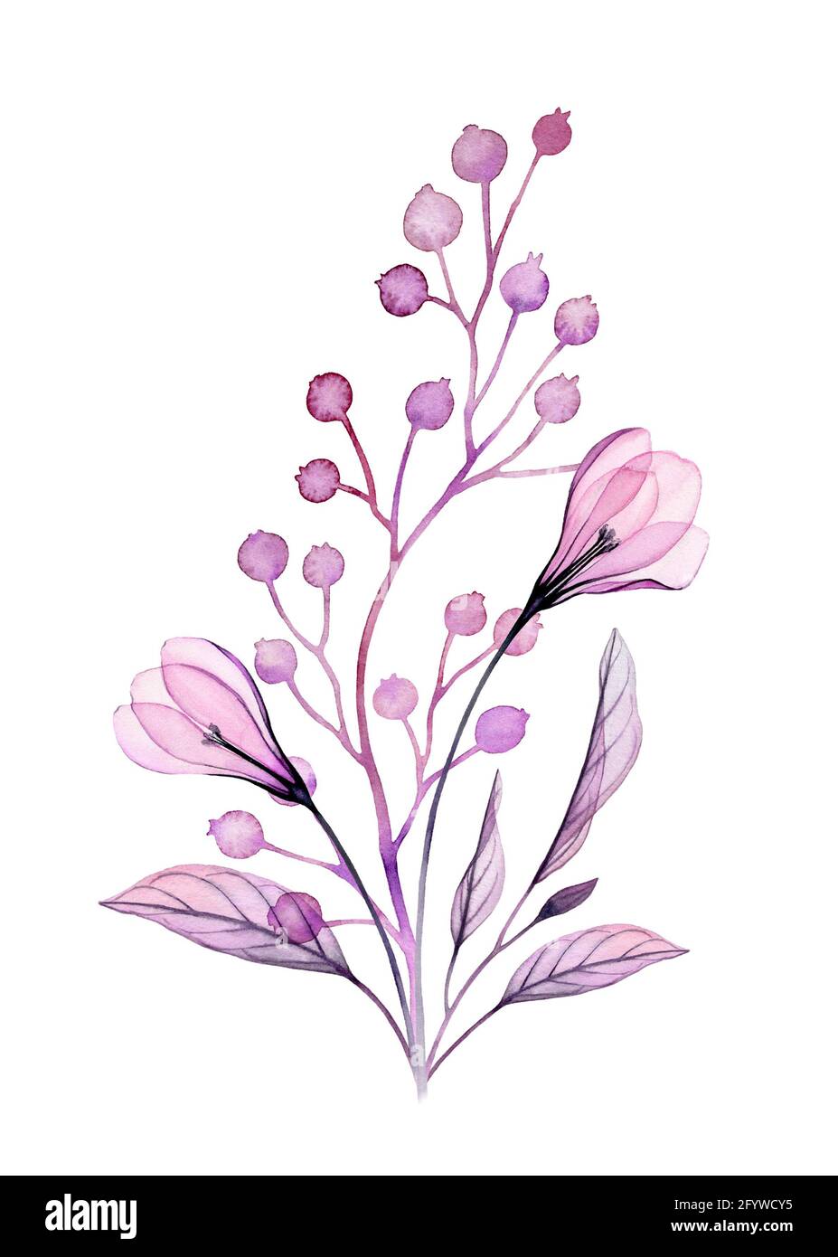 Provencal Dried Lavender – Fern Botanica
