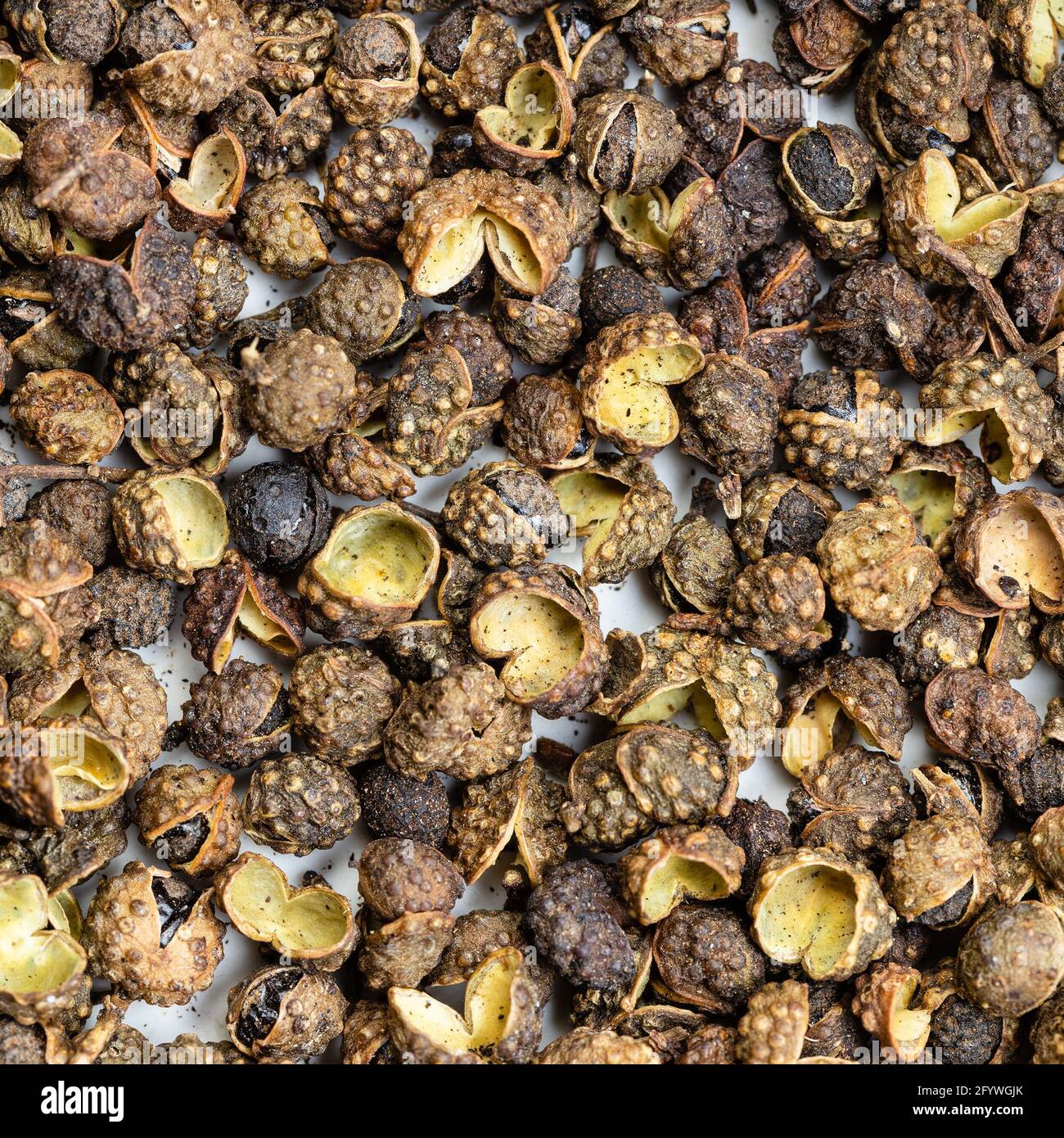 square food background - dried sichuan pepper peppercorns close up Stock Photo