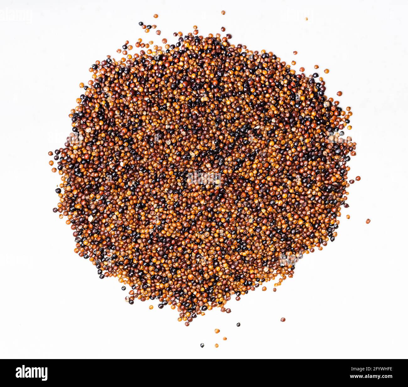 top view of pile of raw canihua grains close up on gray ceramic plate Stock Photo