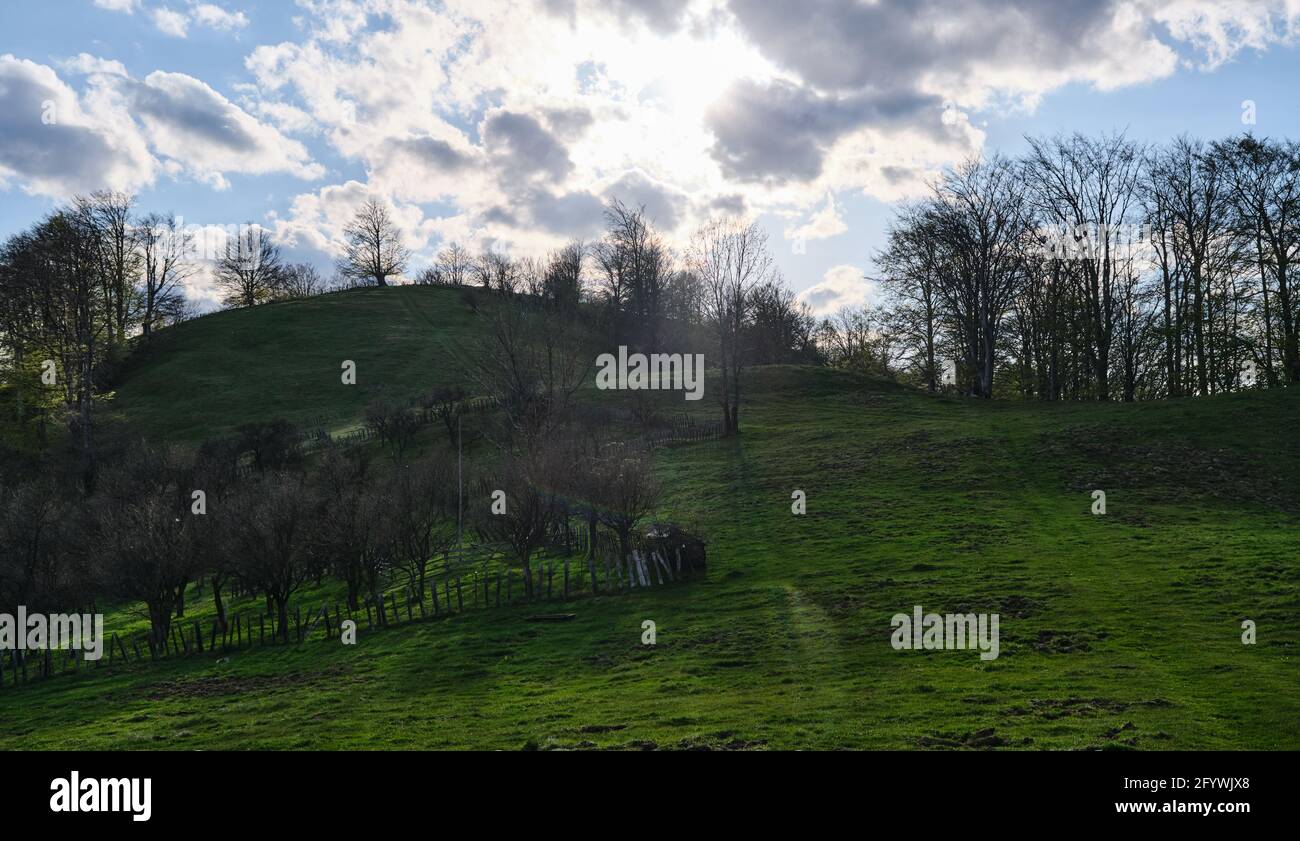 Rays sun way through green hi-res stock photography and images - Alamy