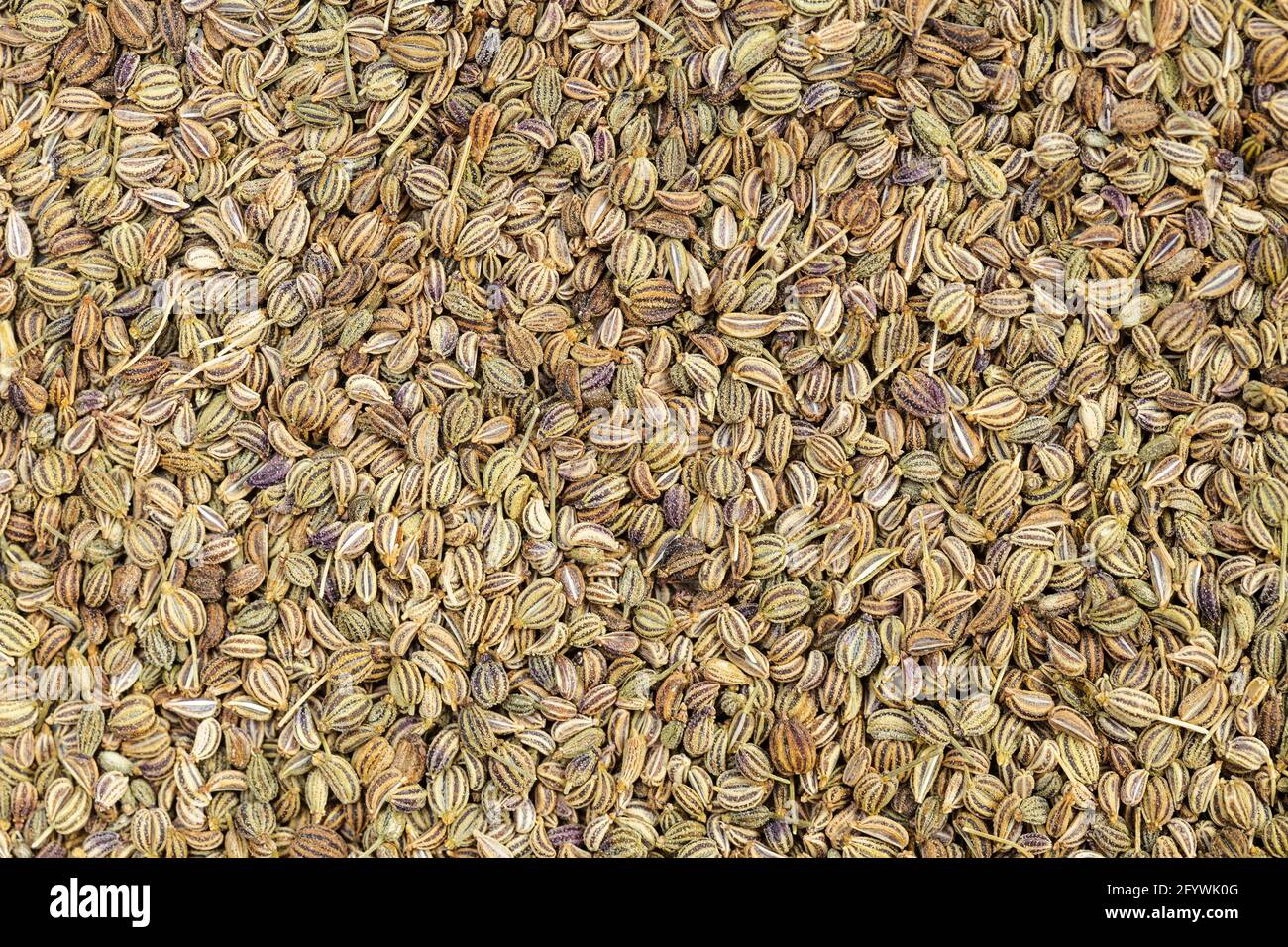 Ajwain seeds hires stock photography and images Alamy