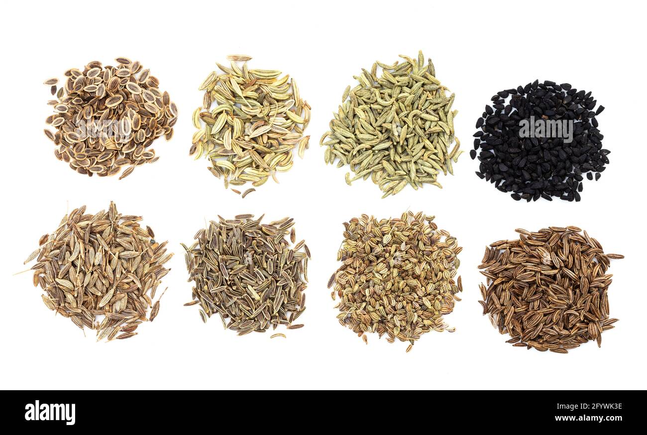 Difference Between Anise And Fennel