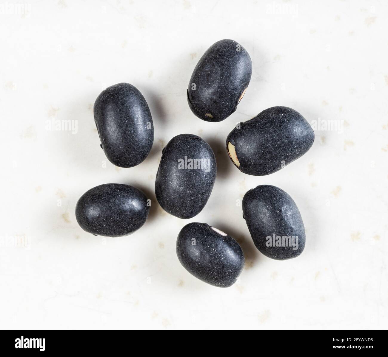several raw mexico black beans close up on gray ceramic plate Stock Photo