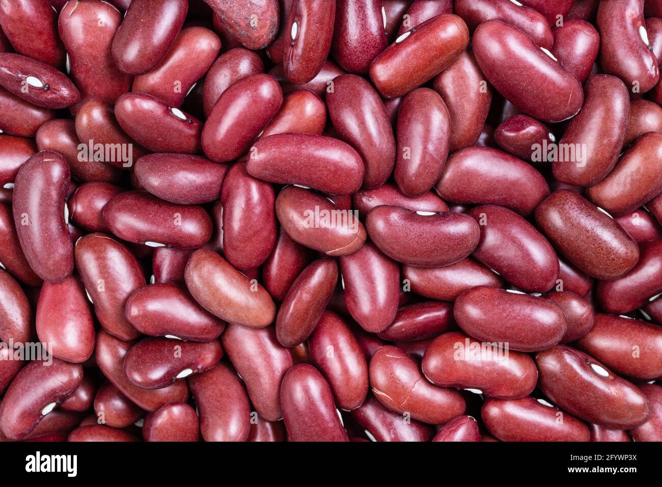 food background - raw red kidney beans Stock Photo - Alamy