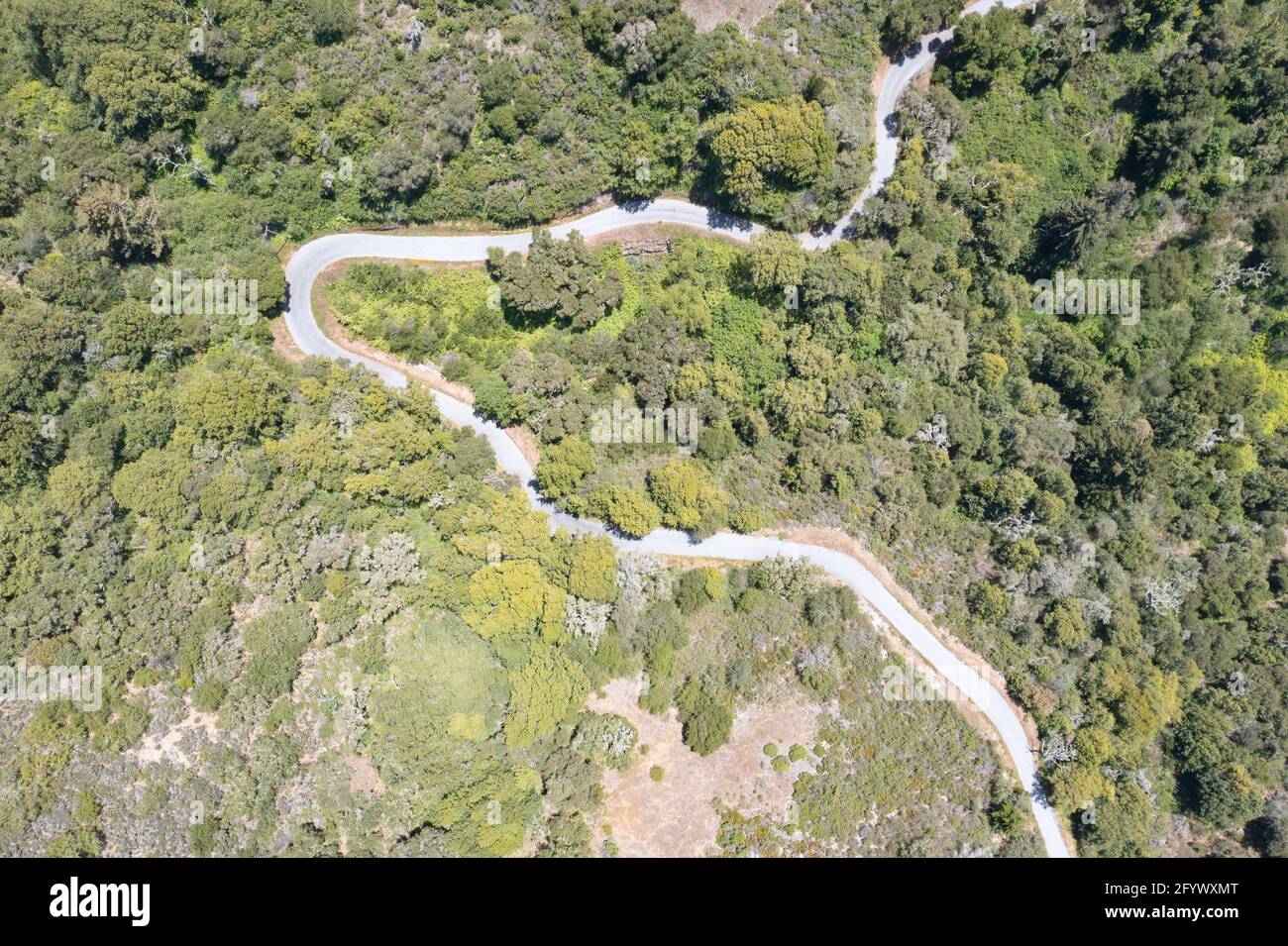 A scenic road meanders through the vegetation-covered hills of the East Bay, just a few miles from San Francisco Bay in Northern California. Stock Photo