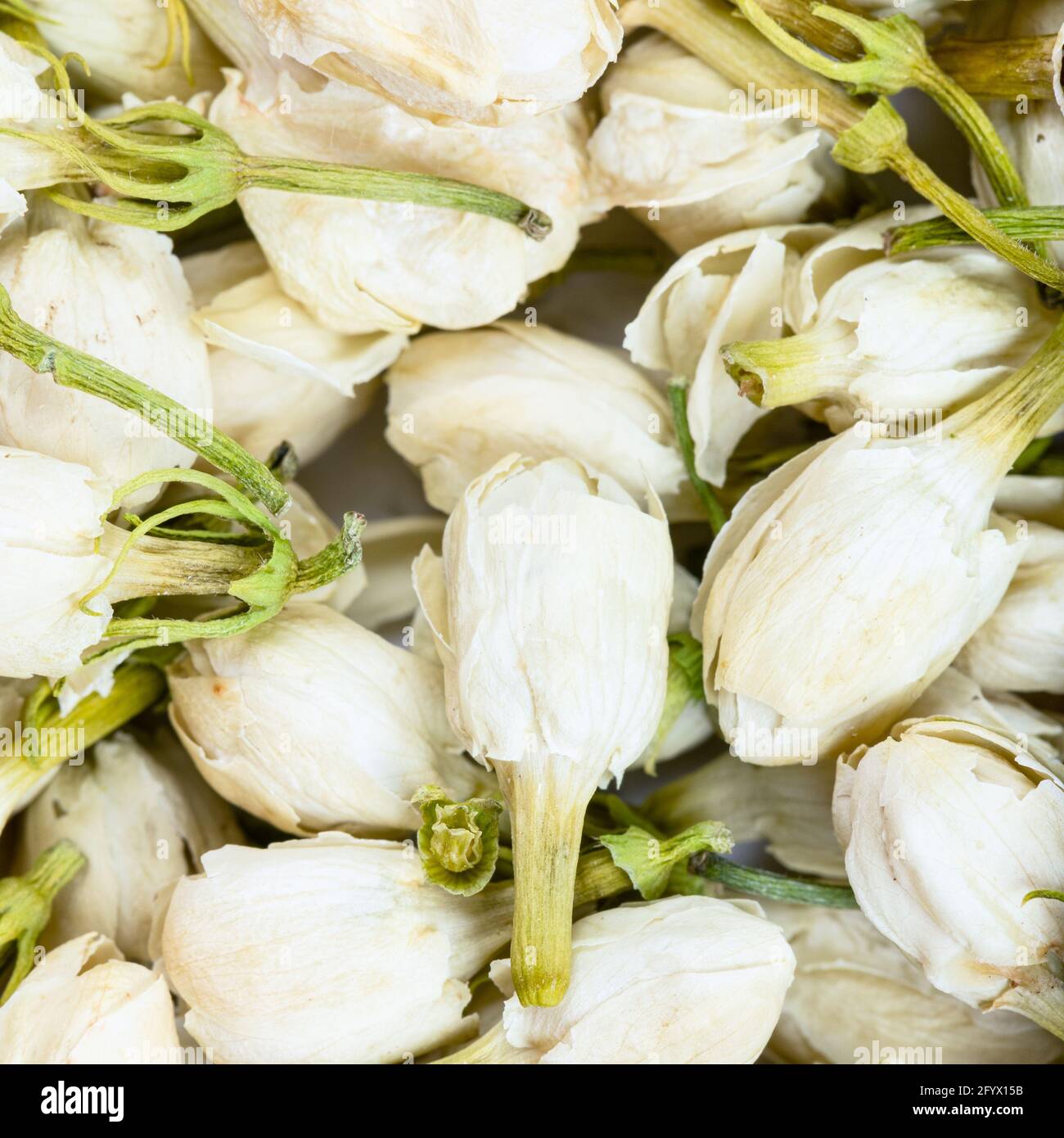 Dried jasmine flowers hi-res stock photography and images - Alamy