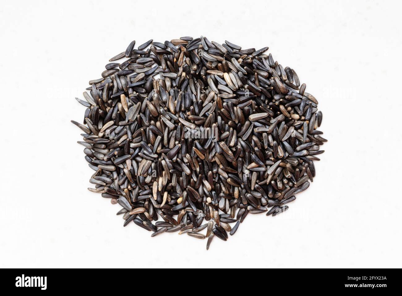top view of pile of whole-grain niger seeds (Guizotia Abyssinica) close up on gray ceramic plate Stock Photo