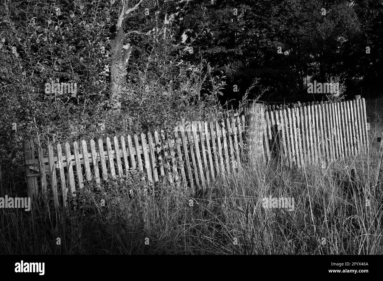 Rustic wood fence Black and White Stock Photos & Images - Alamy