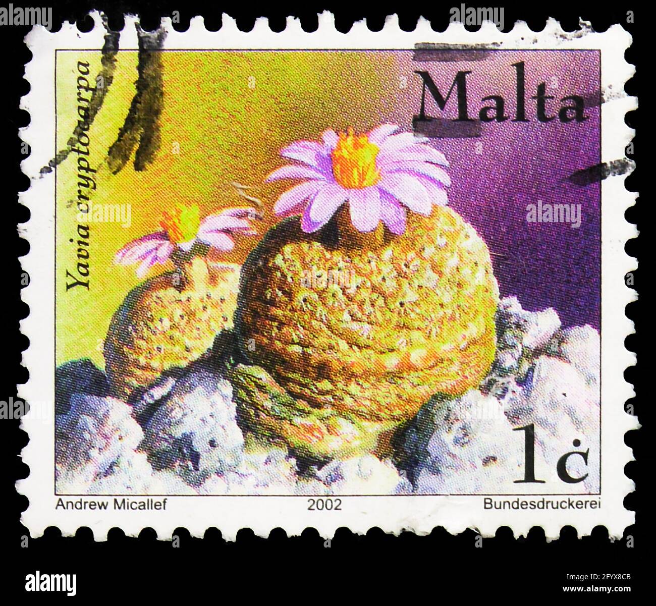 MOSCOW, RUSSIA - SEPTEMBER 27, 2019: Postage stamp printed in Malta shows Yavia cryptocarpa (cactus), 1 Maltese cent, Cacti and Succulents serie, circ Stock Photo