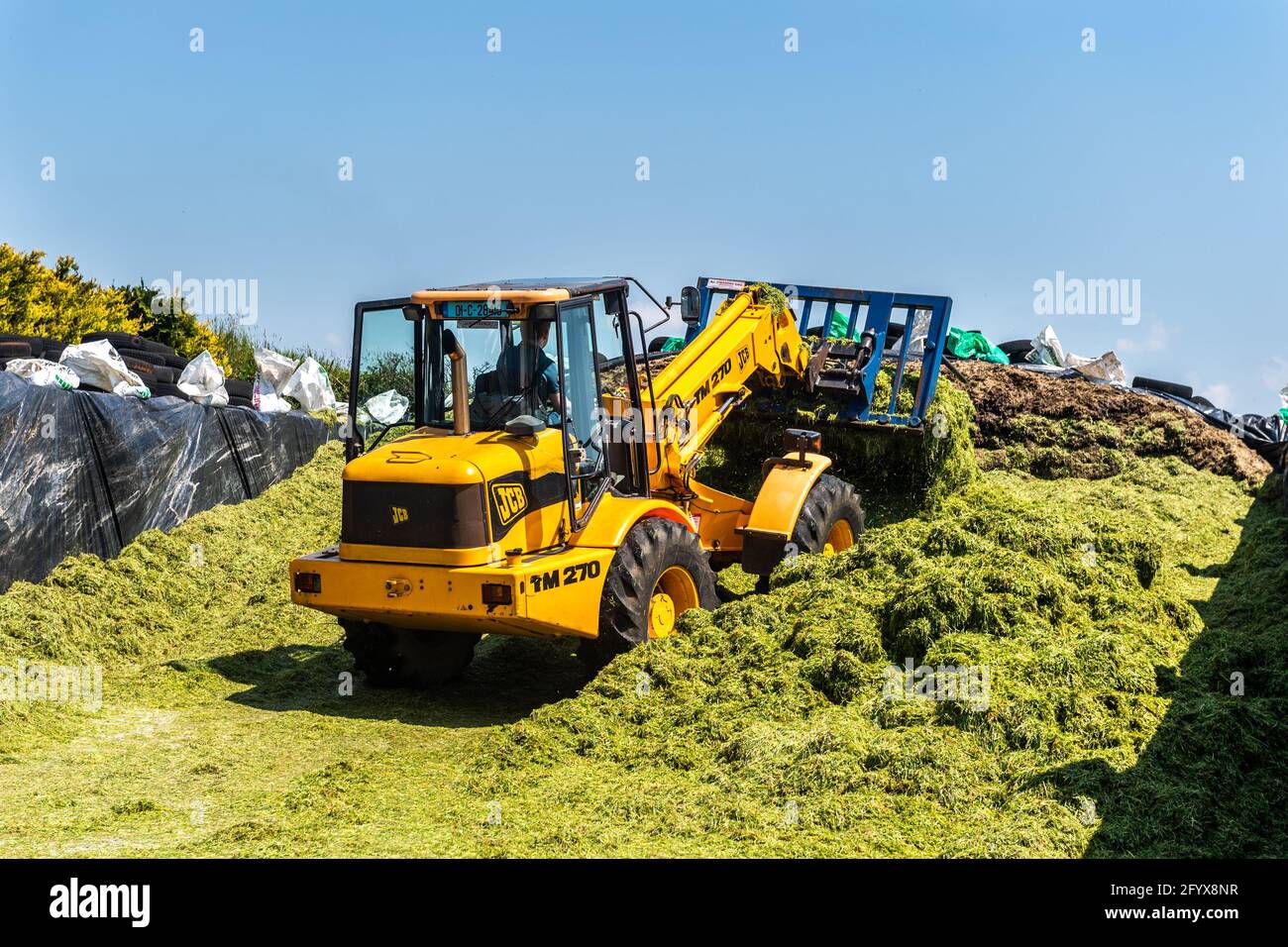 Drinagh, West Cork, Ireland. 30th May, 2021. On a very sunny day in West Cork, Evan Wilson, driving a JCB TM 270 pivot steer telehandler, compacts silage in the pit on the farm of George Wilson in Drinagh, West Cork. Credit: AG News/Alamy Live News Stock Photo