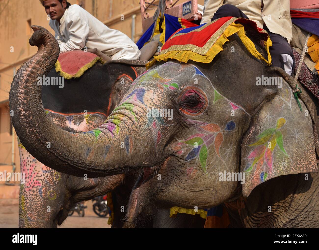 Indian elephant decorated with face paint waiting to taxi paying tourists up the steep incline to Amber Fort, Jaipur, India. (cruelty to elephants) Stock Photo