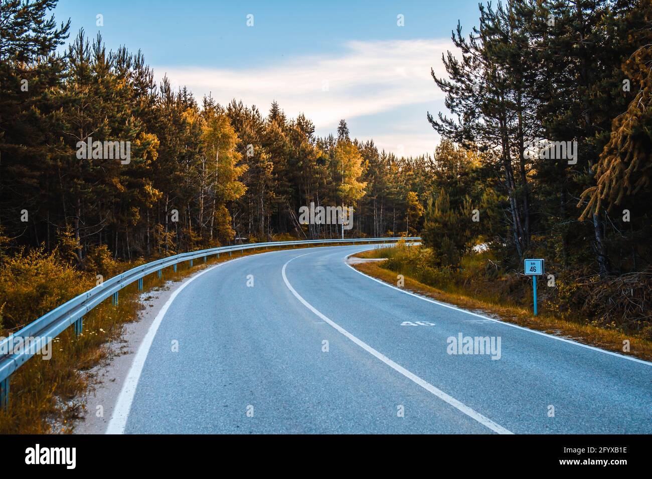 Empty asphalt road through the forest. Vlasina lake, Eastern Serbia
