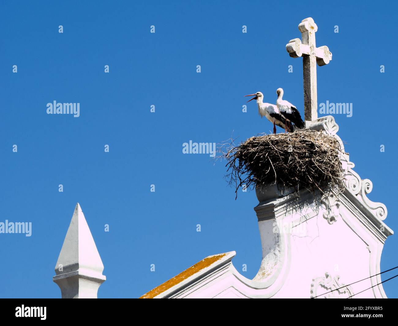 Störche auf dem Kirchenturm - neben dem Kreuz unter blauem Himmel in Olhao / Algarve / Portugal Stock Photo