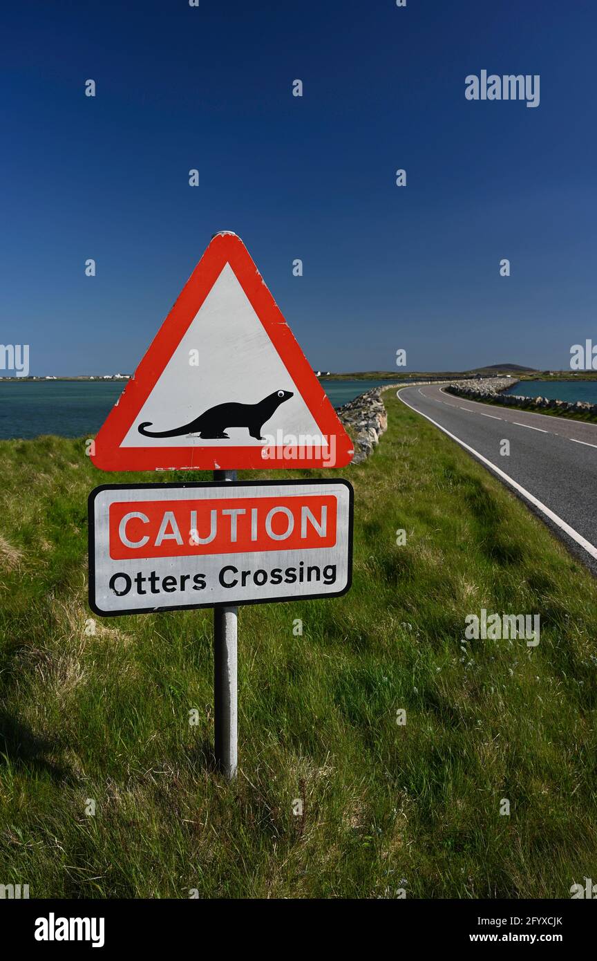 Caution Otters Crossing sign, red warning triangle and otter icon. Blurred background of causeway, sea and grass. South Uist to Benbecula causeway. Stock Photo