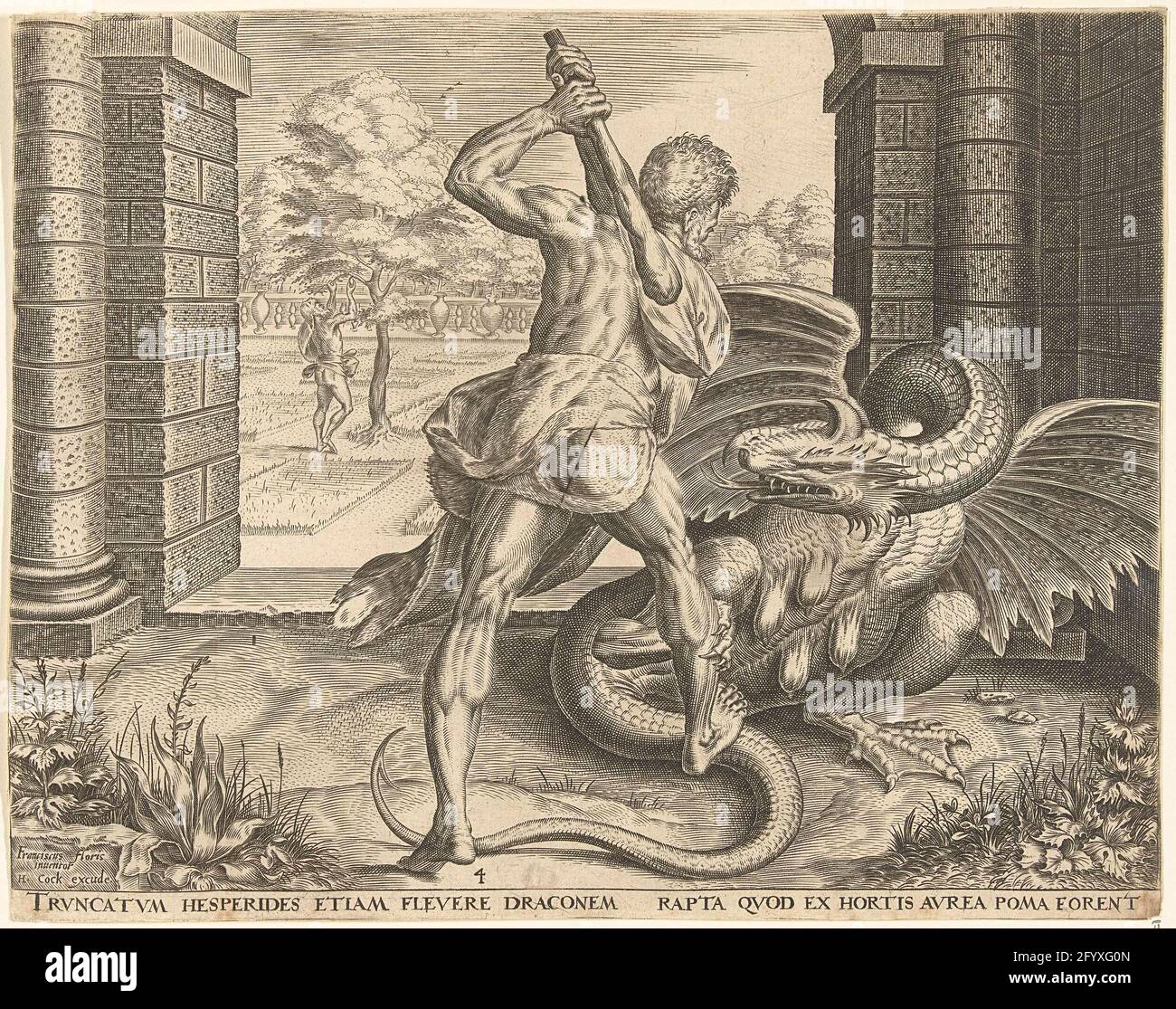 Hesperides tree hires stock photography and images Alamy