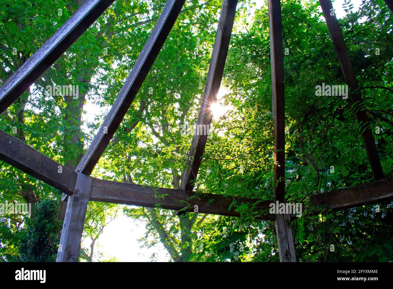 Looking out through the rafters to a sunburst treeline from a gazebo at Rutgers Gardens in New Brunswick, New Jersey -04 Stock Photo