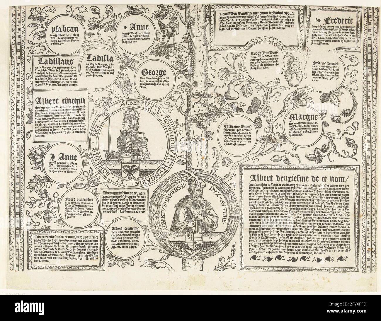 Family tree of the Habsburg house, magazine twelve; Family tree of the Habsburg House. One sheet