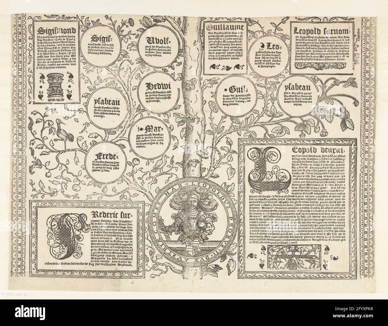 Family tree of the Habsburg house, thirteen leaves; Family tree of the Habsburg House. One sheet