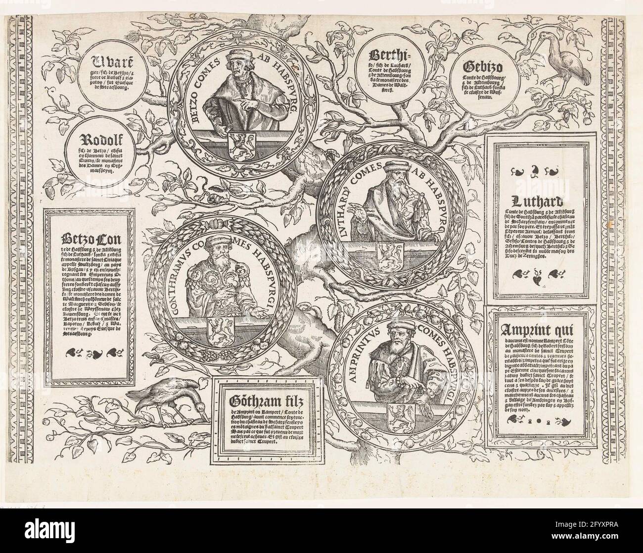 Family tree of the Habsburg house, sheet seven; Family tree of the Habsburg House. One sheet of