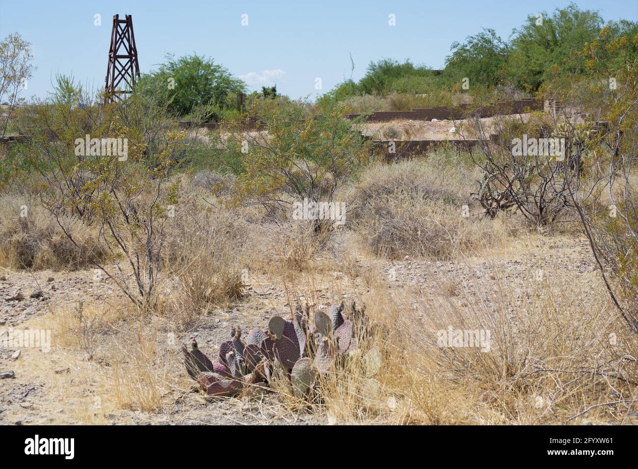 Springs Preserve in Las Vegas, Nevada Stock Photo Alamy