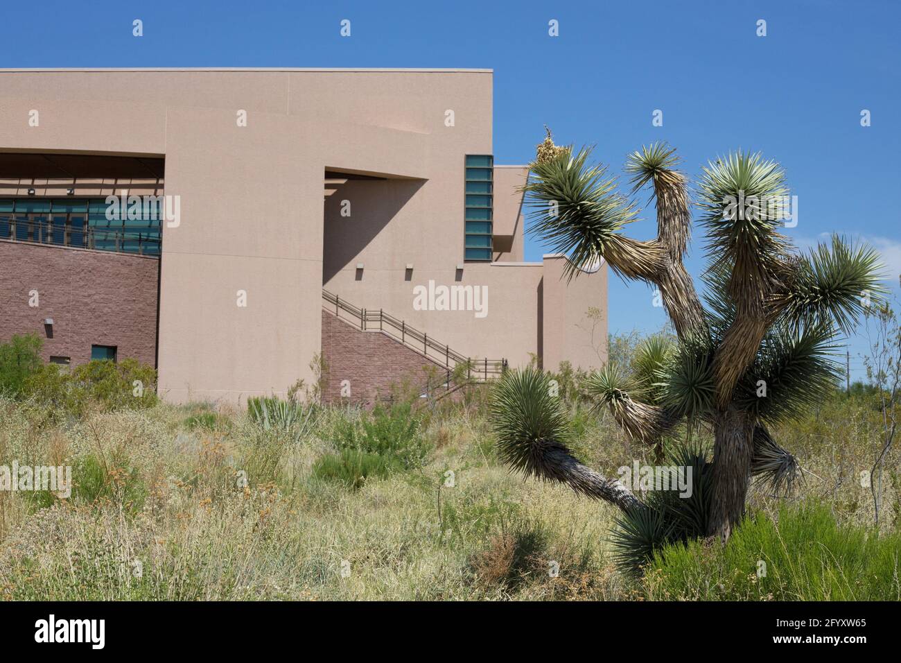 Springs preserve las vegas hires stock photography and images Alamy