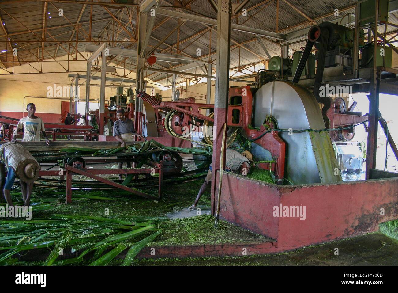 Sisal Factory , Madagascar Stock Photo