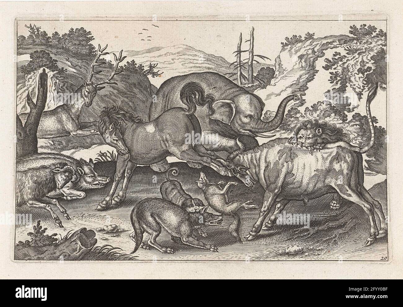 Fighting animals; Four-legged animals; ANIMALIVM QVADRVPEDVM. A lion, a  bull, a fox, a wolf, a dog a wild boar, a goat a horse, an elephant and a  deer are battle with each