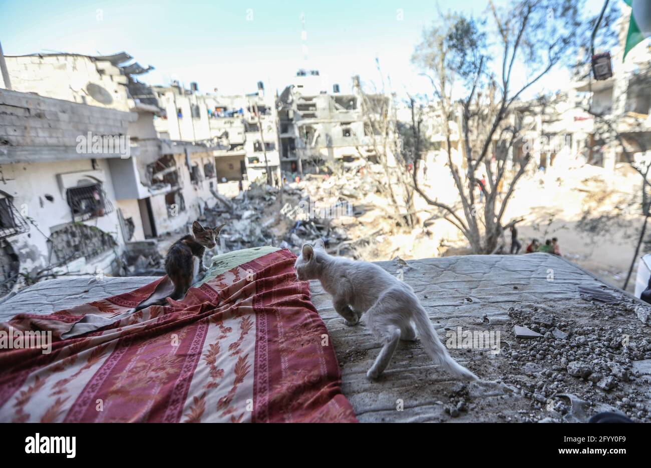 Many people and families lost their homes to the destruction by Israeli airstrikes. There is a ceasefire in place, but many are left homeless. Northern Gaza Strip, Gaza City. Stock Photo