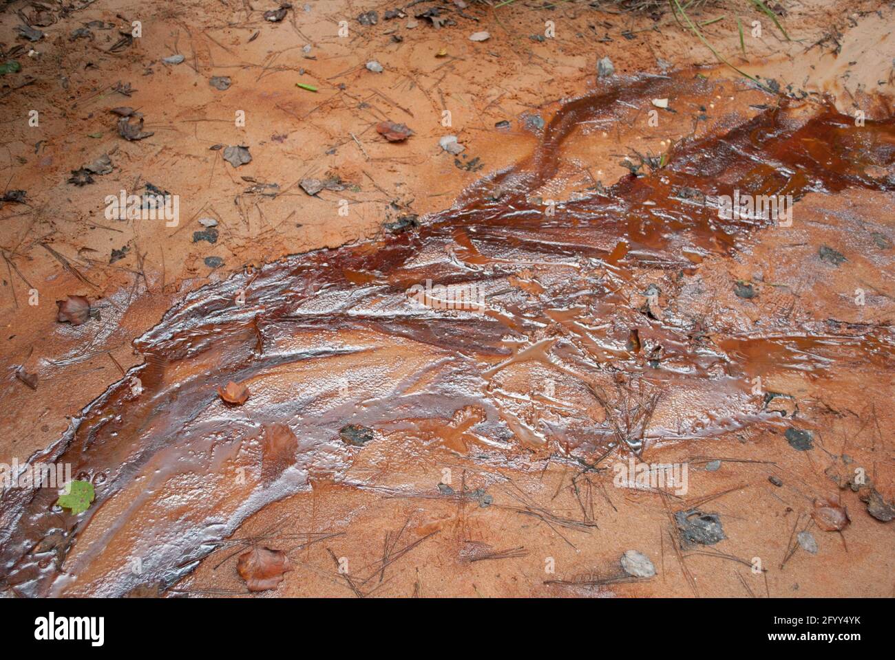 Large colorful spot of oil on the ground. Oilfield Stock Photo