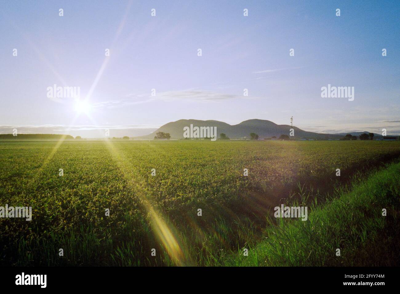 Mountain farmland and sun flare from side of road, Beloeil, Quebec, Canada, 2020 Stock Photo