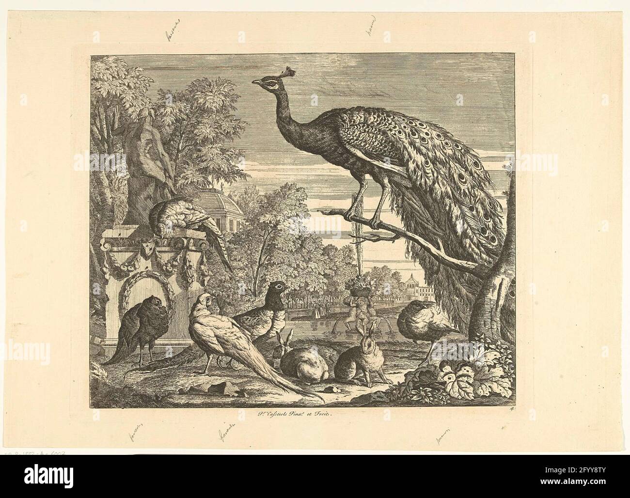 Peacock, rabbits and other birds at a garden fountain; Different birds ...