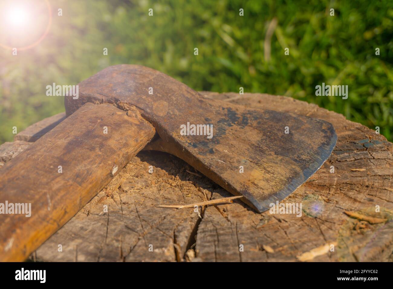 A rusty ax lies on a tree stump Stock Photo