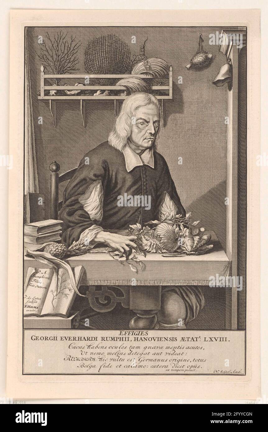 everhard rumphius hires stock photography and images Alamy