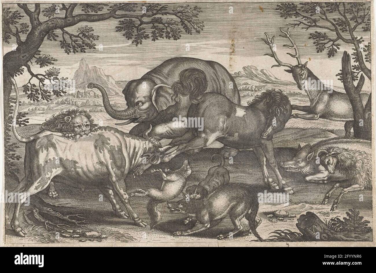Fighting animals; Fourlegged animals; ANIMALIVM QVADRVPEDVM. A lion, a