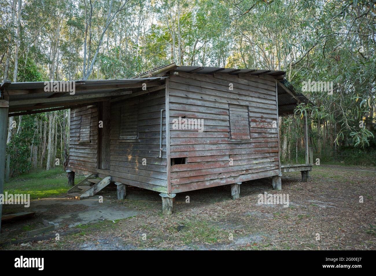 Harry's Hut, historic timber cutters' accommodation in forests of the Sunshine Coast, Queensland Australia Stock Photo