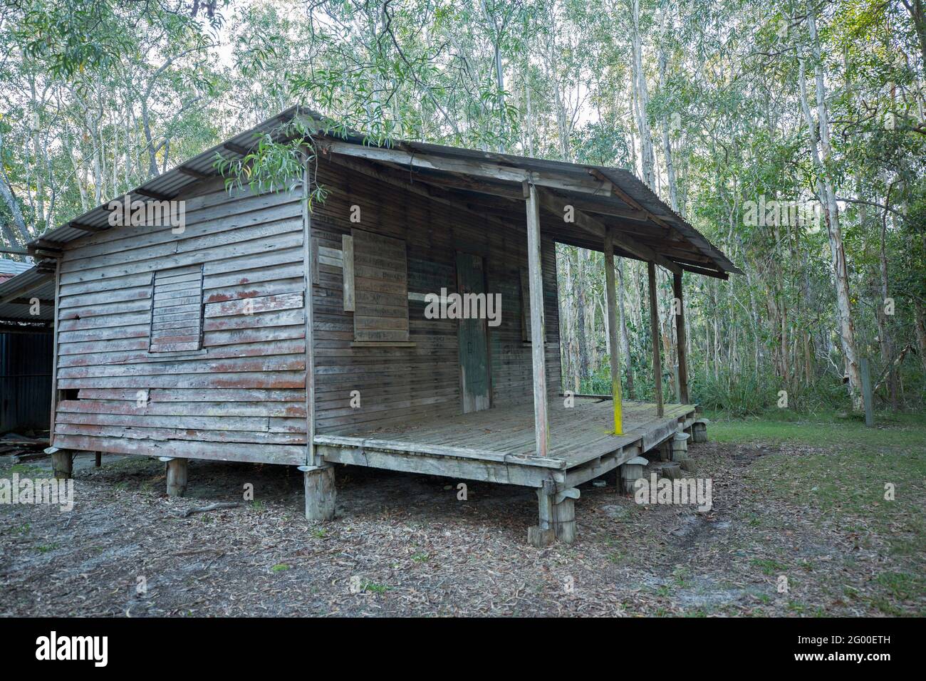 Harry's Hut, historic timber cutters' in forests of the