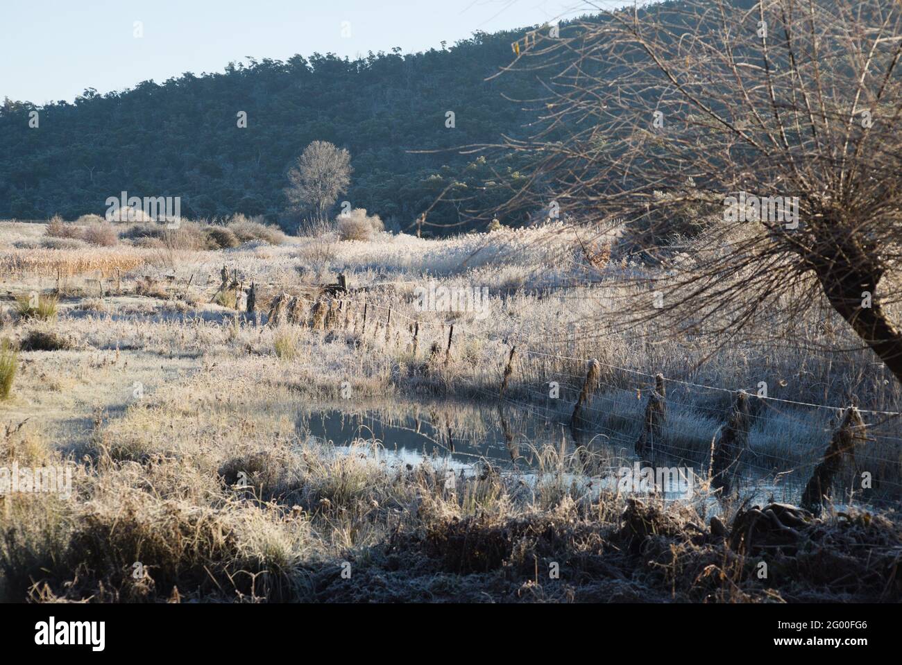 View along bank of Snowy River in NSW Australia on frosty morning in winter Stock Photo