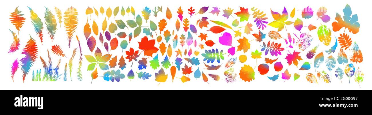 Leaf collection - vector silhouette Stock Vector