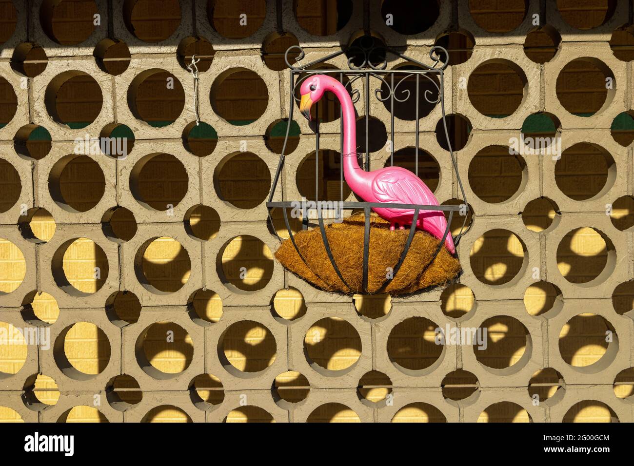 Pink plastic Flamingo in a wall planter Stock Photo