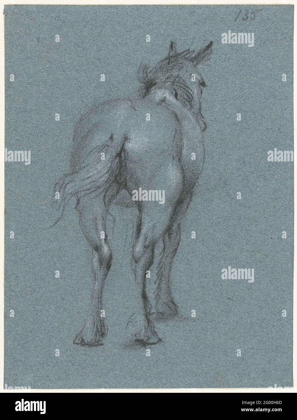 Study of a horse swaying with his tail, from behind; Standing work